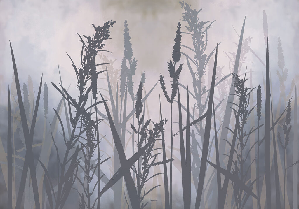 Tall grass in the fog