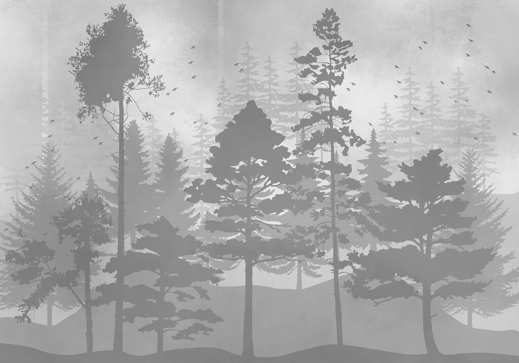 Group of trees in a forest Group of trees in a forest