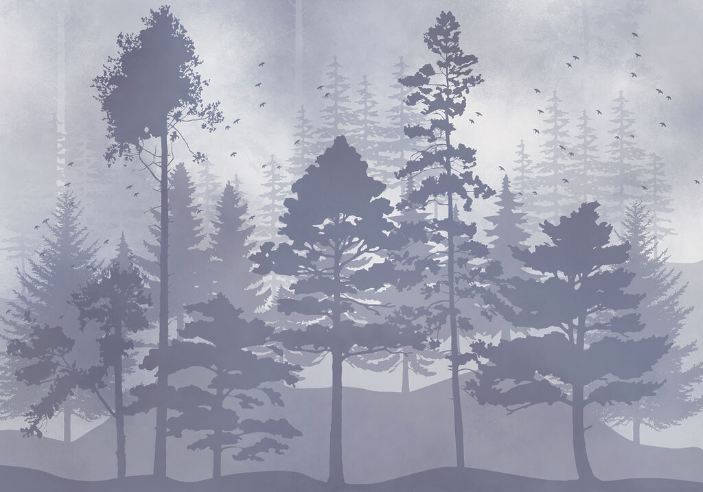 Group of trees in a foggy forest Group of trees in a foggy forest