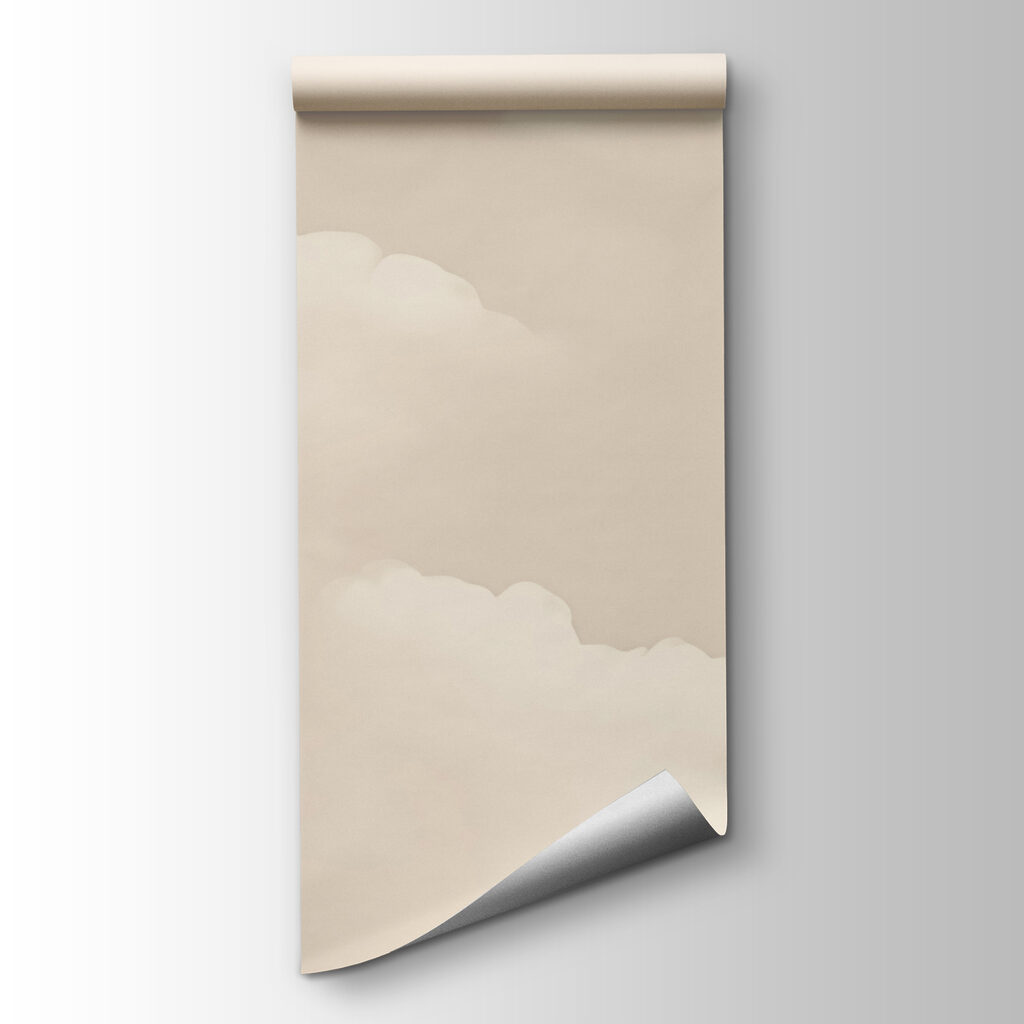 White clouds in a sky