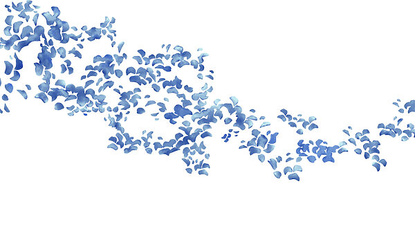 Fototapeta Niebieskie płatki kwiatów na białym tle (SKU: t01140) Fototapeta Niebieskie płatki kwiatów na białym tle (SKU: t01140)